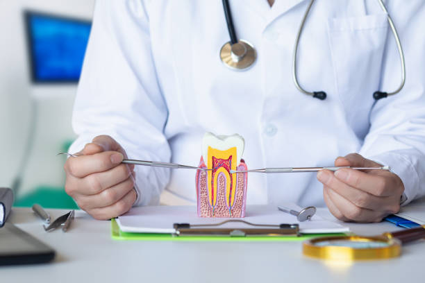 Best Emergency Treatment for Dental Infections or Abscesses in Pepperdine University, CA